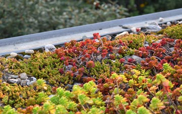 the cost of Na H Eileanan An Iar green roof installation