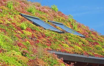 Na H Eileanan An Iar living roof systems