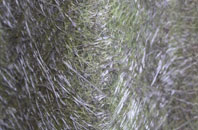 Na H Eileanan An Iar fibreglass roof work